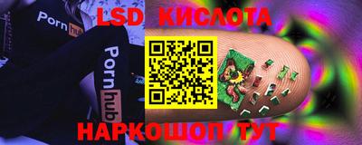 стаф Берёзовский