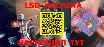 стаф Берёзовский